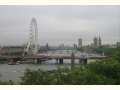 London Eye and Parliament